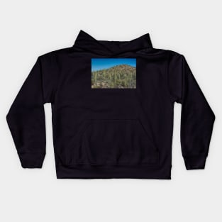 Saguaro National Park Tucson Kids Hoodie